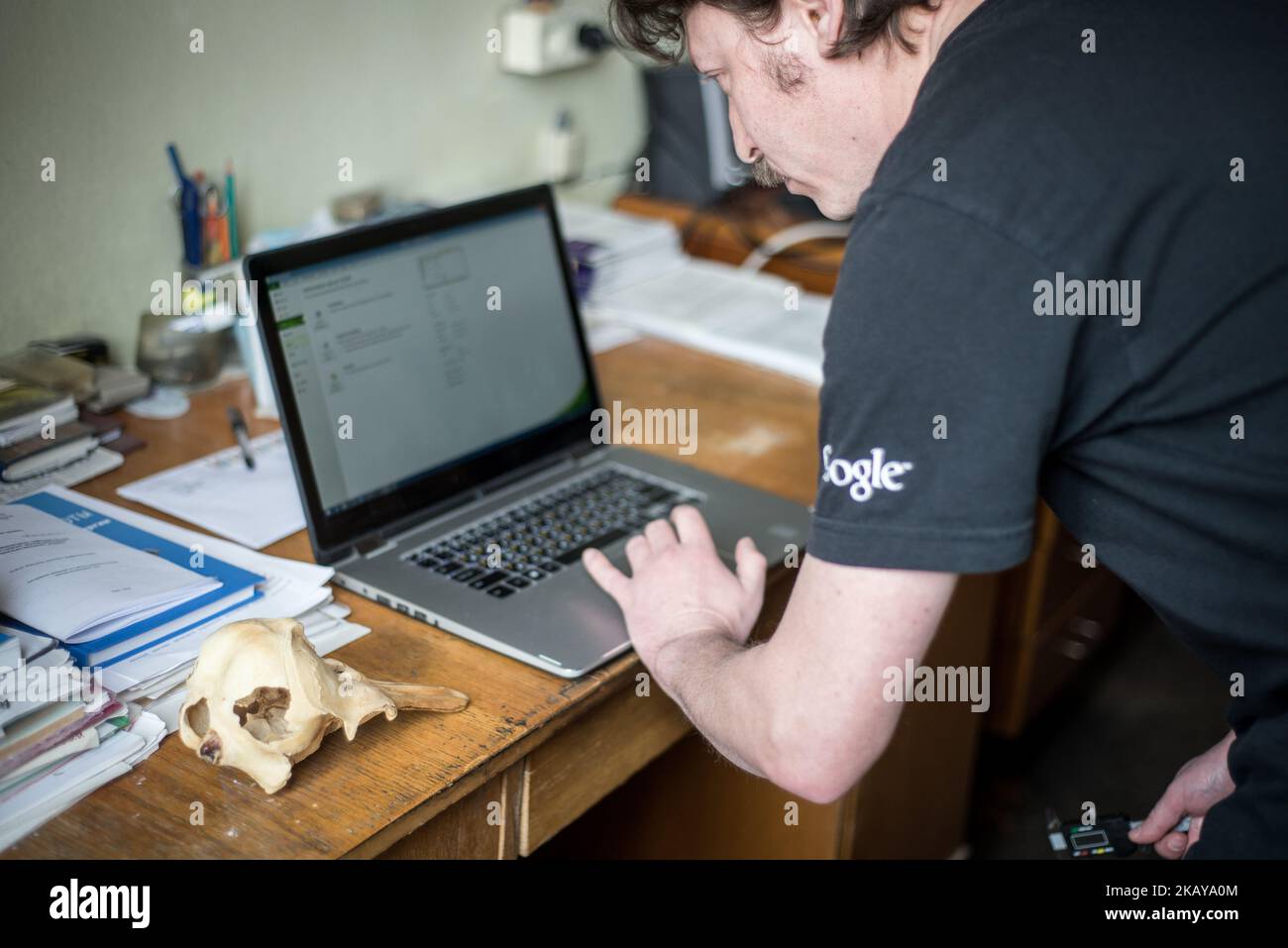 Pavel Goldin sur son lieu de travail à l'Académie nationale des sciences d'Ukraine, Kiev, Ukraine, le 2018 mars. Pavel Goldin est un scientifique spécialisé dans la morphologie évolutive des mammifères marins. Il a été professeur agrégé à l'Université nationale de Taurida en Crimée. Après l'annexion de la Crimée par la Russie en 2014, il s'installe à Kiev et commence à travailler comme chercheur principal à l'Académie nationale des sciences d'Ukraine. ( (Photo par Oleksandr Rupeta/NurPhoto)) Banque D'Images