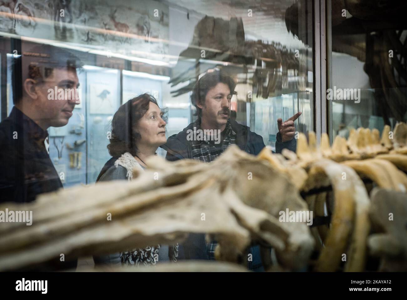 Pavel Goldin et la direction du musée examinent l'exposition qu'il décrit au Musée national d'histoire naturelle de l'Académie nationale des sciences d'Ukraine, Kiev, le 2018 mars. Pavel Goldin est un scientifique spécialisé dans la morphologie évolutive des mammifères marins. Il a été professeur agrégé à l'Université nationale de Taurida en Crimée. Après l'annexion de la Crimée par la Russie en 2014, il s'installe à Kiev et commence à travailler comme chercheur principal à l'Académie nationale des sciences d'Ukraine. ( (Photo par Oleksandr Rupeta/NurPhoto)) Banque D'Images