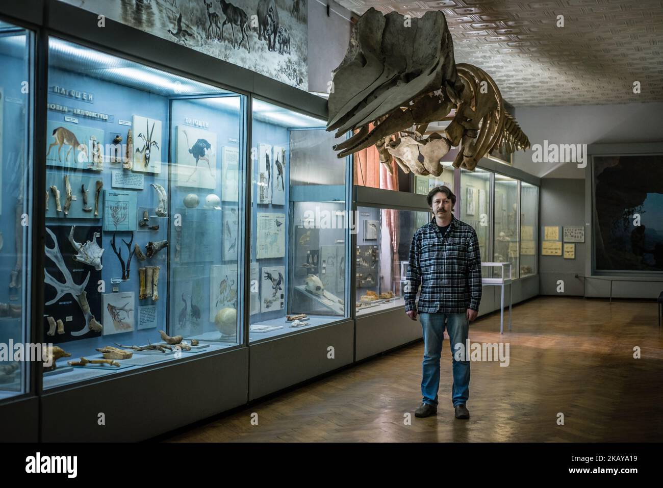 Pavel Goldin et la direction du musée examinent l'exposition qu'il décrit au Musée national d'histoire naturelle de l'Académie nationale des sciences d'Ukraine, Kiev, le 2018 mars. Pavel Goldin est un scientifique spécialisé dans la morphologie évolutive des mammifères marins. Il a été professeur agrégé à l'Université nationale de Taurida en Crimée. Après l'annexion de la Crimée par la Russie en 2014, il s'installe à Kiev et commence à travailler comme chercheur principal à l'Académie nationale des sciences d'Ukraine. ( (Photo par Oleksandr Rupeta/NurPhoto)) Banque D'Images