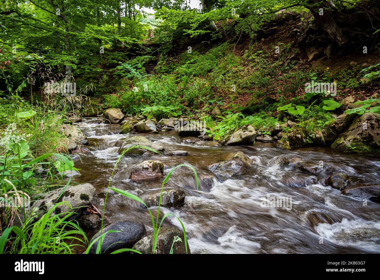 Photo d'une rivière de montagne en Varmezo Transylvanie. Banque D'Images