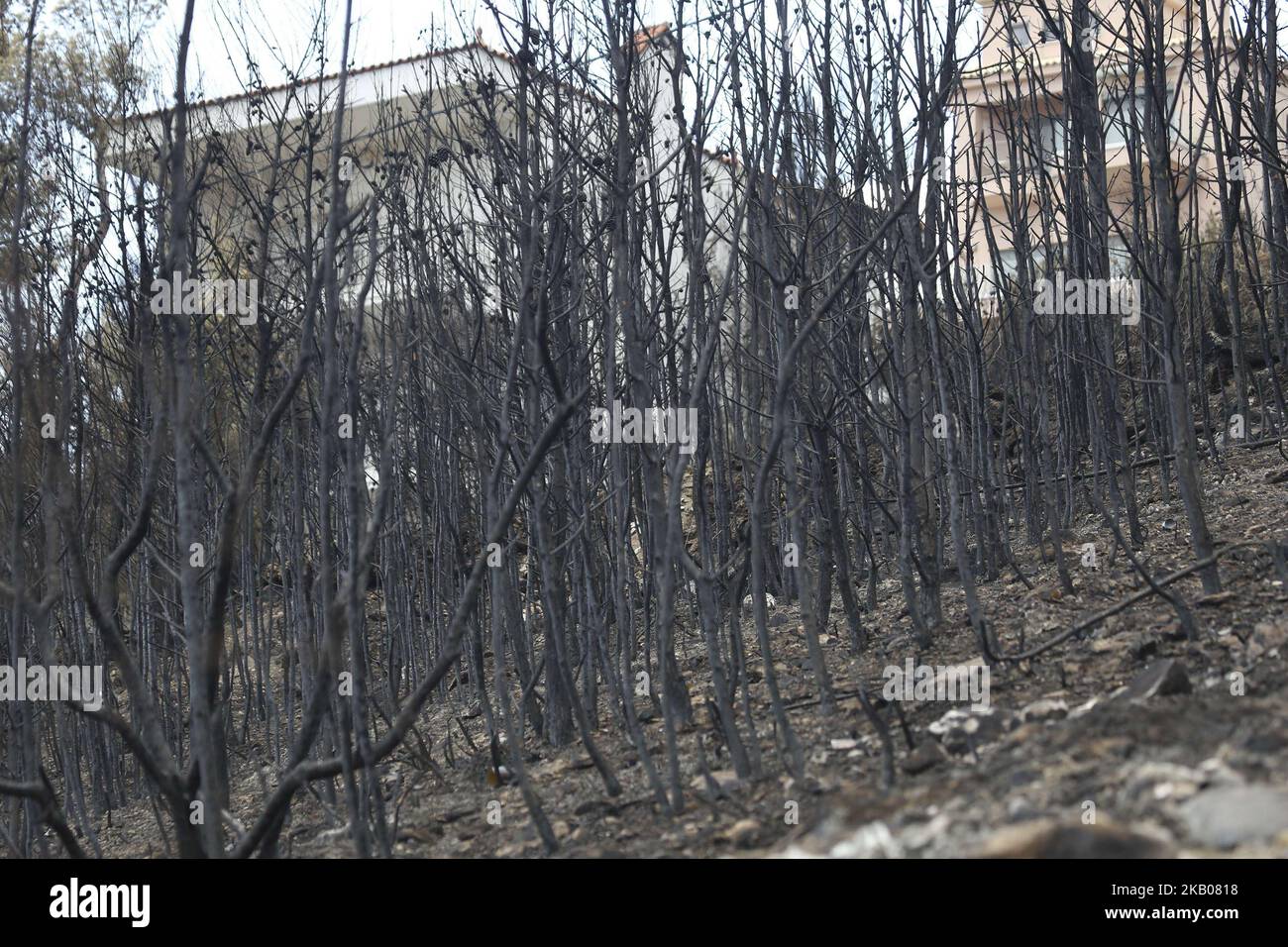 Photos de la région plus large de Mati et Neos Voutsas dans l'est de l'Attique près d'Athènes après le feu. Le feu qui a eu lieu le 23 juillet 2018 a été l'un des plus fidèles du siècle. Le nombre de morts a été porté à 88 victimes. Beaucoup de gens manquent encore et la recherche est toujours en cours. La région est toujours sans électricité. Le premier compte a été que 2500 maisons ont été détruites. 28 juillet 2018 - Mati, Attique, Grèce (photo de Nicolas Economou/NurPhoto) Banque D'Images