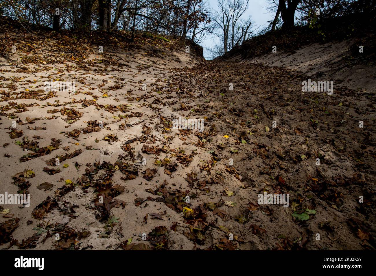 Vue sur le parc national Indiana Sand Dunes à Chesterton, INDIANA, États-Unis sur 29 octobre 2018. (Photo de Patrick Gorski/NurPhoto) Banque D'Images