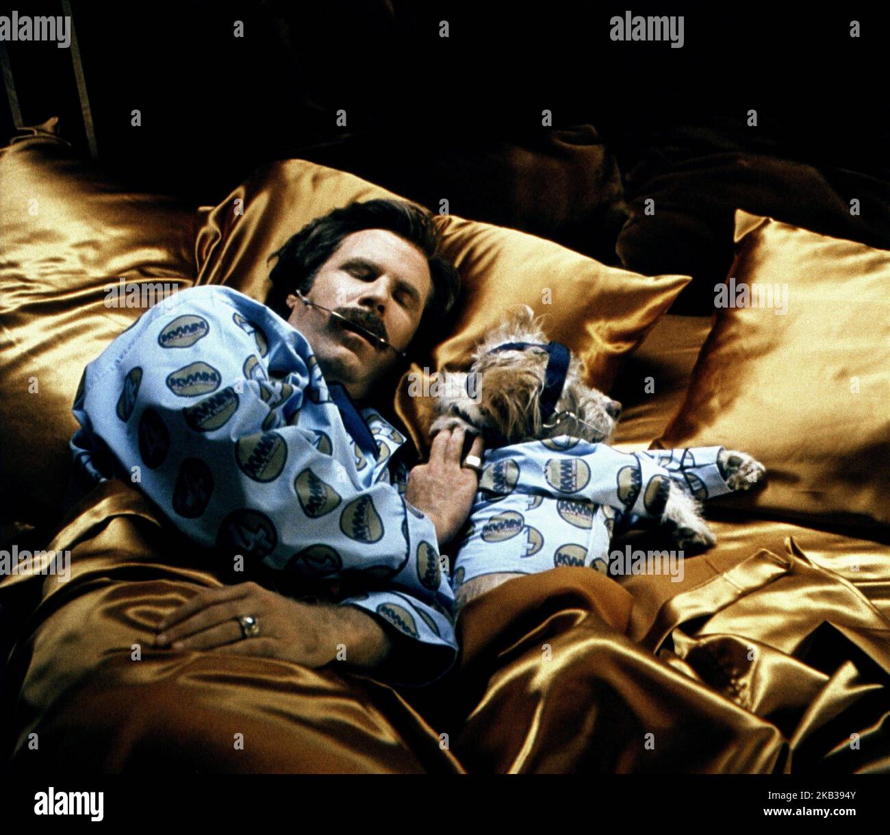 ANCHORMAN : LA LÉGENDE DE L'RON BOURGOGNE, WILL FERRELL, CHIEN, 2004 Banque D'Images