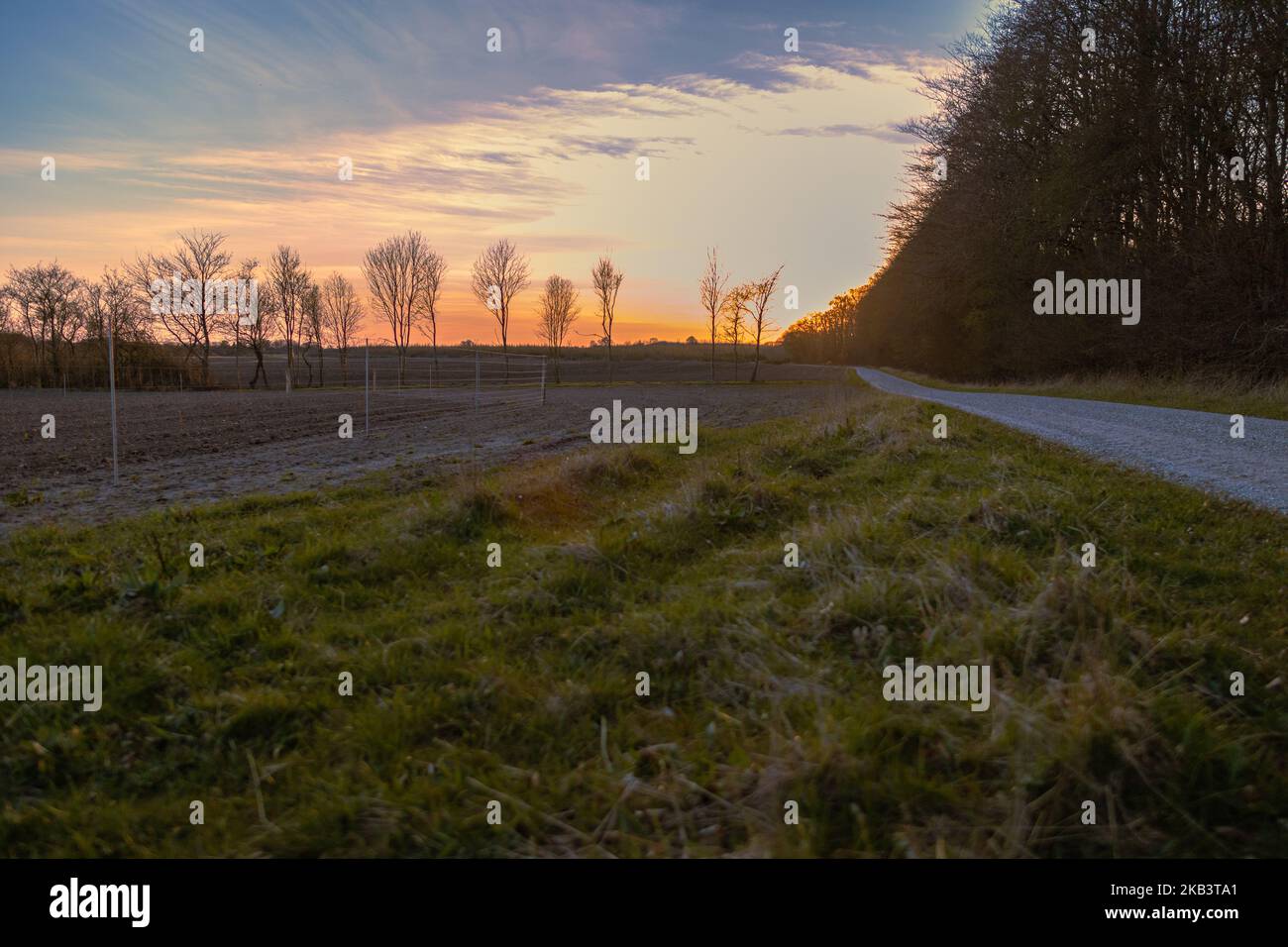 Un merveilleux coucher de soleil dans la forêt Banque D'Images