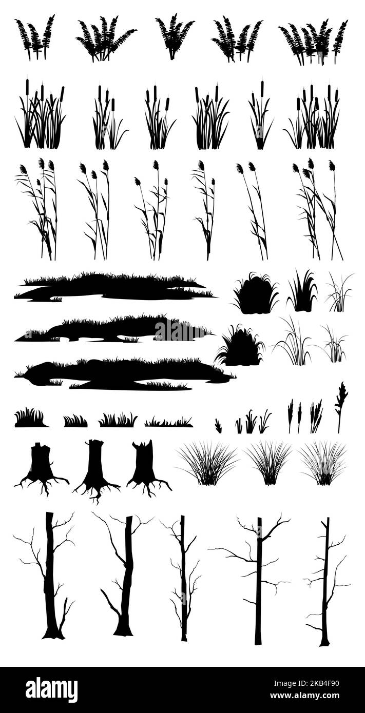 Ensemble d'herbes marécageuses, de pousses de roseau, de roseaux et d'épaississants côtiers. Fougère, troncs d'arbre et souches pourries. Paysage marécageux. Vue sur la rive de la rivière. Silhouette Illustration de Vecteur