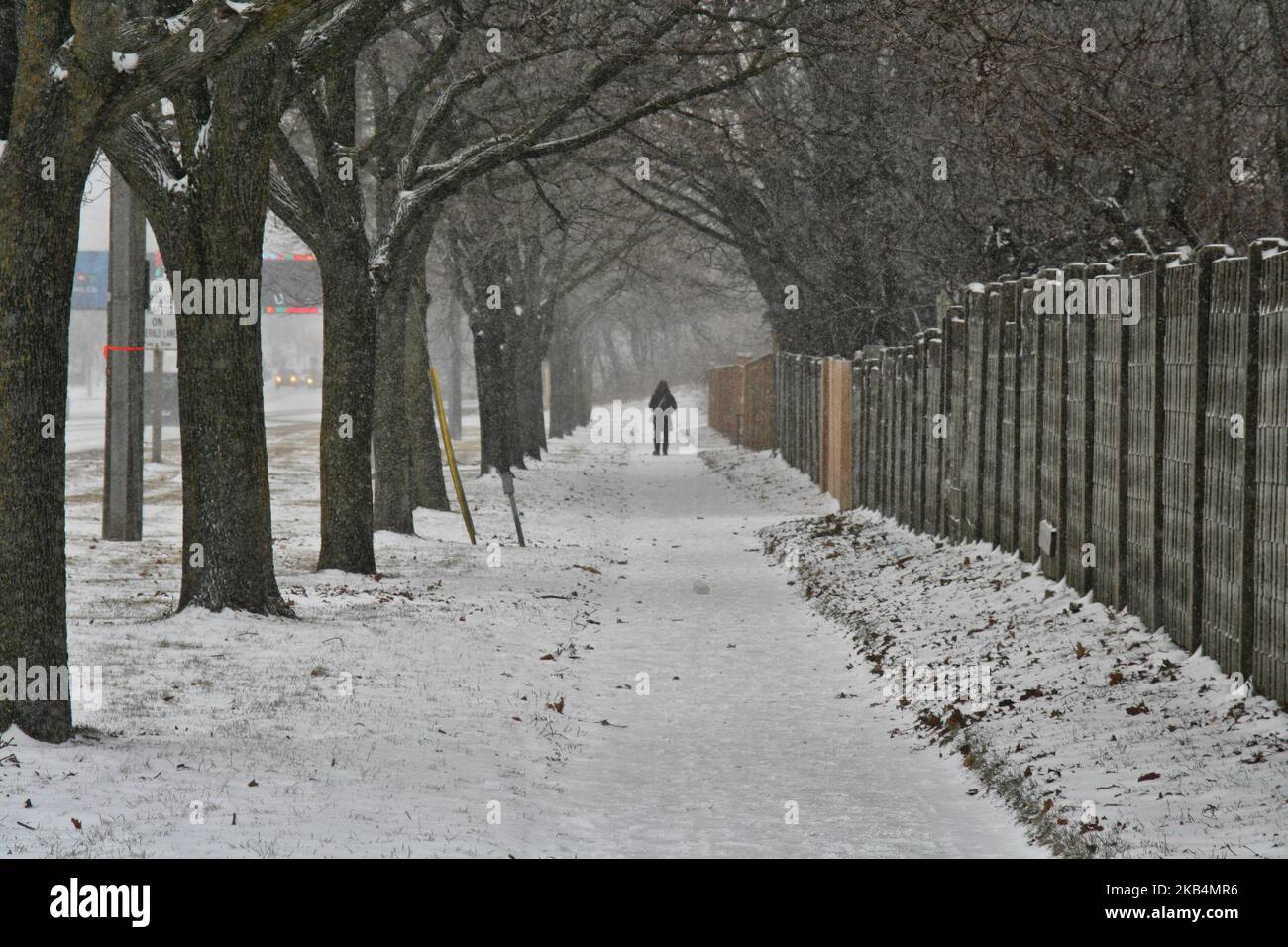 Le sud de l'Ontario est soumis à une explosion de conditions météorologiques hivernales car 10-15 centimètres de neige ont couvert la ville de Toronto, Ontario, Canada sur 19 janvier 2019. En plus de la neige, des températures glaciales de -18 degrés celsius ont incité la ville à émettre une alerte par temps extrêmement froid alors qu'une masse d'air arctique s'est déplacée dans le sud de l'Ontario. (Photo de Creative Touch Imaging Ltd./NurPhoto) Banque D'Images