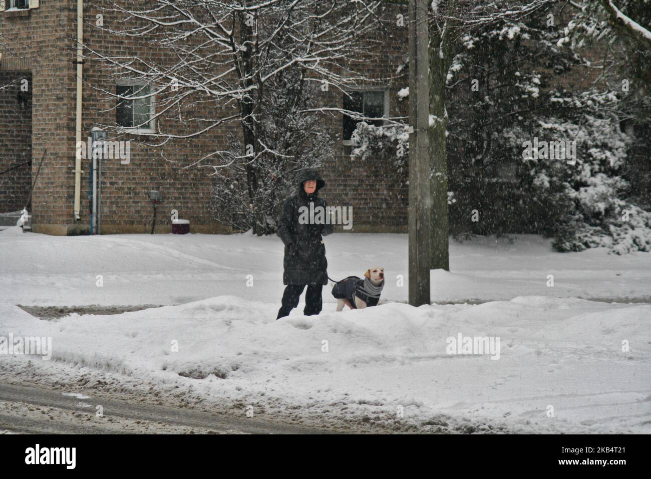 Toronto, Ontario, Canada - 23 janvier 2019 --- la ville de Toronto a été recouverte de 5cm de neige qui a ensuite été transférée à la pluie verglaçante, puis à la pluie. --- (photo de Creative Touch Imaging Ltd./NurPhoto) Banque D'Images