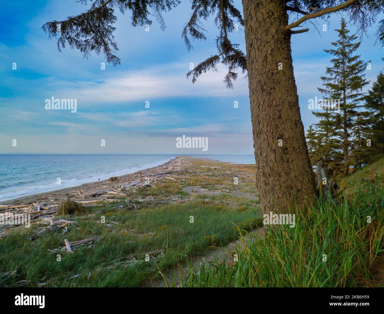 Dungeness Spit, réserve naturelle nationale de Dungeness, Washington, États-Unis. Banque D'Images