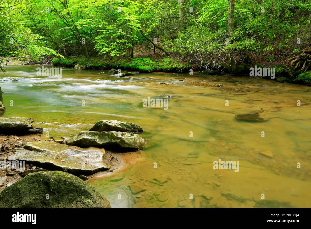 Laurel Fork - Virginie-Occidentale Banque D'Images