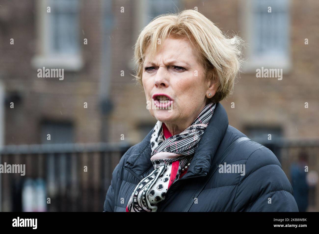 Anna Soubry, chef du Groupe indépendant pour le changement, vue à l'extérieur des chambres du Parlement le 21 mai 2019 à Londres, en Angleterre. Aujourd'hui, le gouvernement va tenter de voter sur l'accord de retrait de l'UE de Boris Johnson après que les députés aient désarréé samedi leur soutien à l'accord visant à empêcher un Brexit sans accord le 31st octobre, obligeant le Premier ministre à écrire une lettre demandant une prolongation de la part de l'UE. (Photo de Wiktor Szymanowicz/NurPhoto) Banque D'Images
