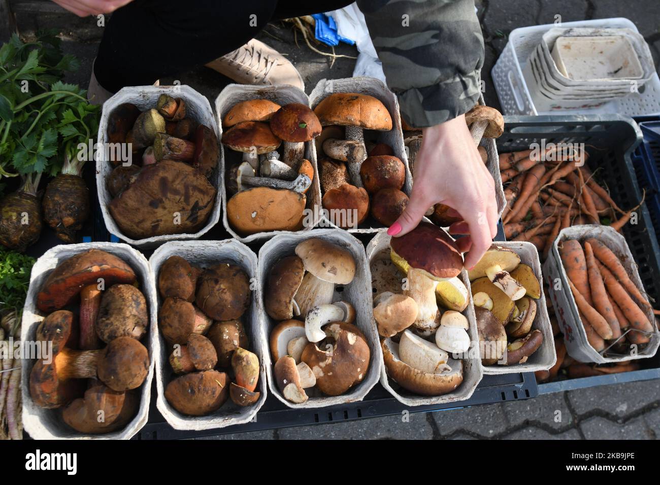 Un vendeur local de champignons avec des paniers de boléte de baie (Imleria badia), petits pains de Penny, Boletus, boléte de tige en pointillés (Neoburoletus luridiformis), Suillus (champignons basidiomycètes) et d'autres champignons, vu sur un marché vert à Rzeszow. En Pologne, l'automne est destiné aux champignons, et chaque année, de septembre à novembre, la cueillette des champignons devient un passe-temps national. Cette année, l'éclosion de champignons extrêmement abondante a causé la visite des forêts de Podkarpackie par des cueilleurs de champignons de Roumanie au cours des dernières semaines. Mercredi, 30 octobre 2019, à Rzeszow, Pologne. (Photo par Artur Widak/NurPhoto) Banque D'Images