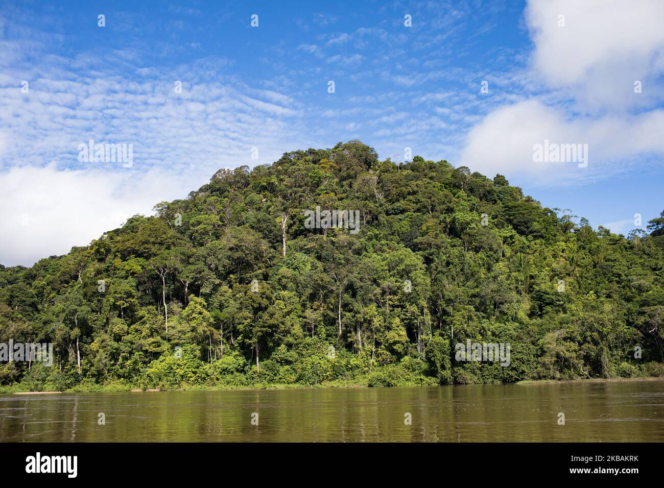Maripasoula, France, 29 juin 2019. La végétation de la forêt amazonienne de la rivière Maroni à Antecume-Pata de Maripasoula. (Photo par Emeric Fohlen/NurPhoto) Banque D'Images