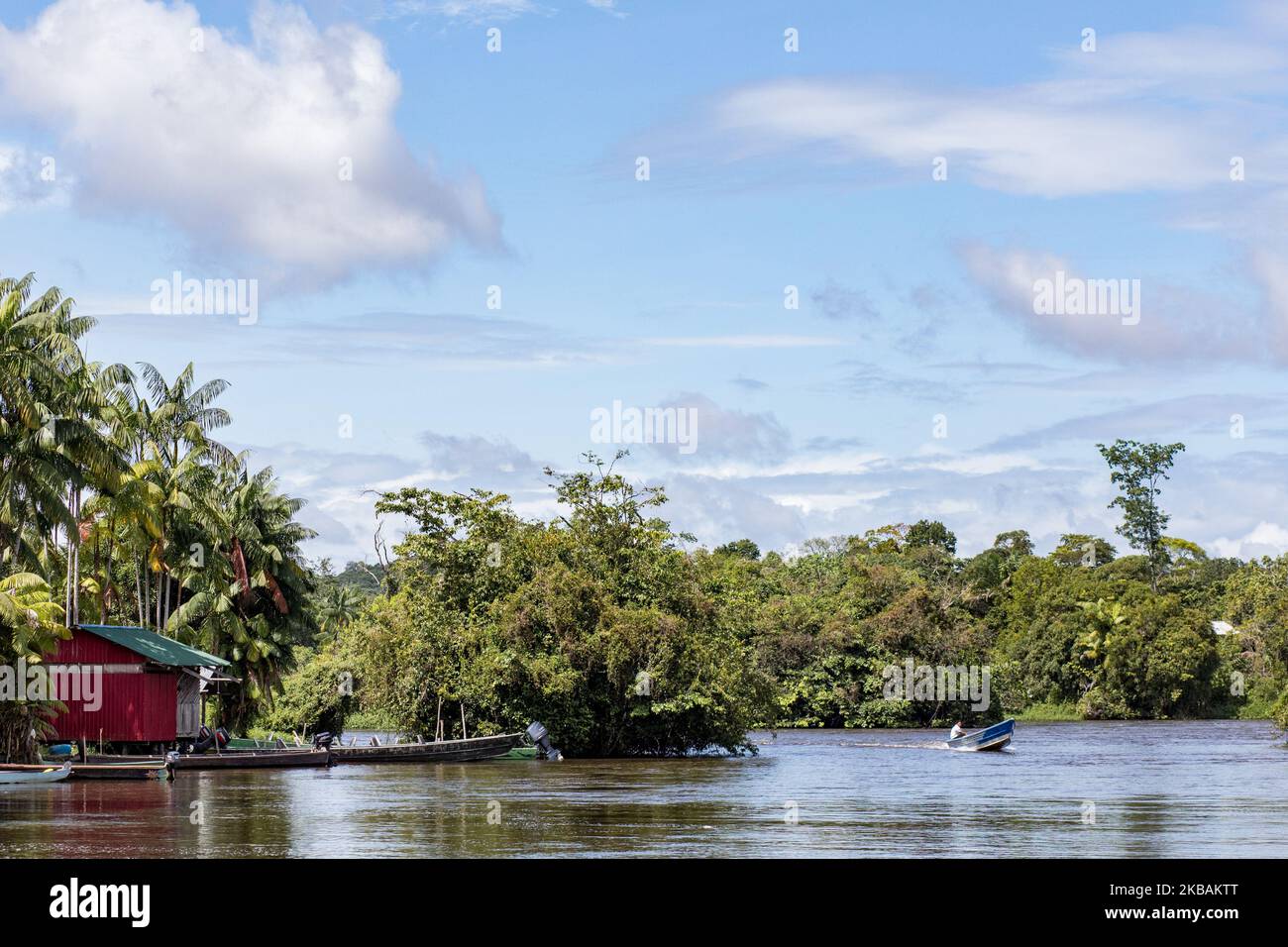 Maripasoula, France, 1 juillet 2019. Un méandre de la rivière Maroni le long du village d'Antecume-Pata. (Photo par Emeric Fohlen/NurPhoto) Banque D'Images