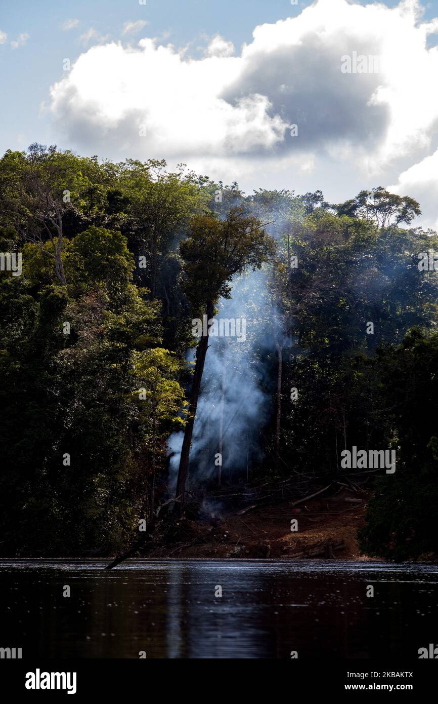 Maripasoula, France, 29 juin 2019. Des hommes brûlent des arbres le long de la rivière Maroni, du côté du Suriname, à Yalopassi, à quelques minutes à pied du village d'Antecume-Pata. Des boutiques chinoises, accompagnées de bars et de divers équipements pour le divertissement des Gold Panners et des Amérindiens sont en expansion dans la région. (Photo par Emeric Fohlen/NurPhoto) Banque D'Images