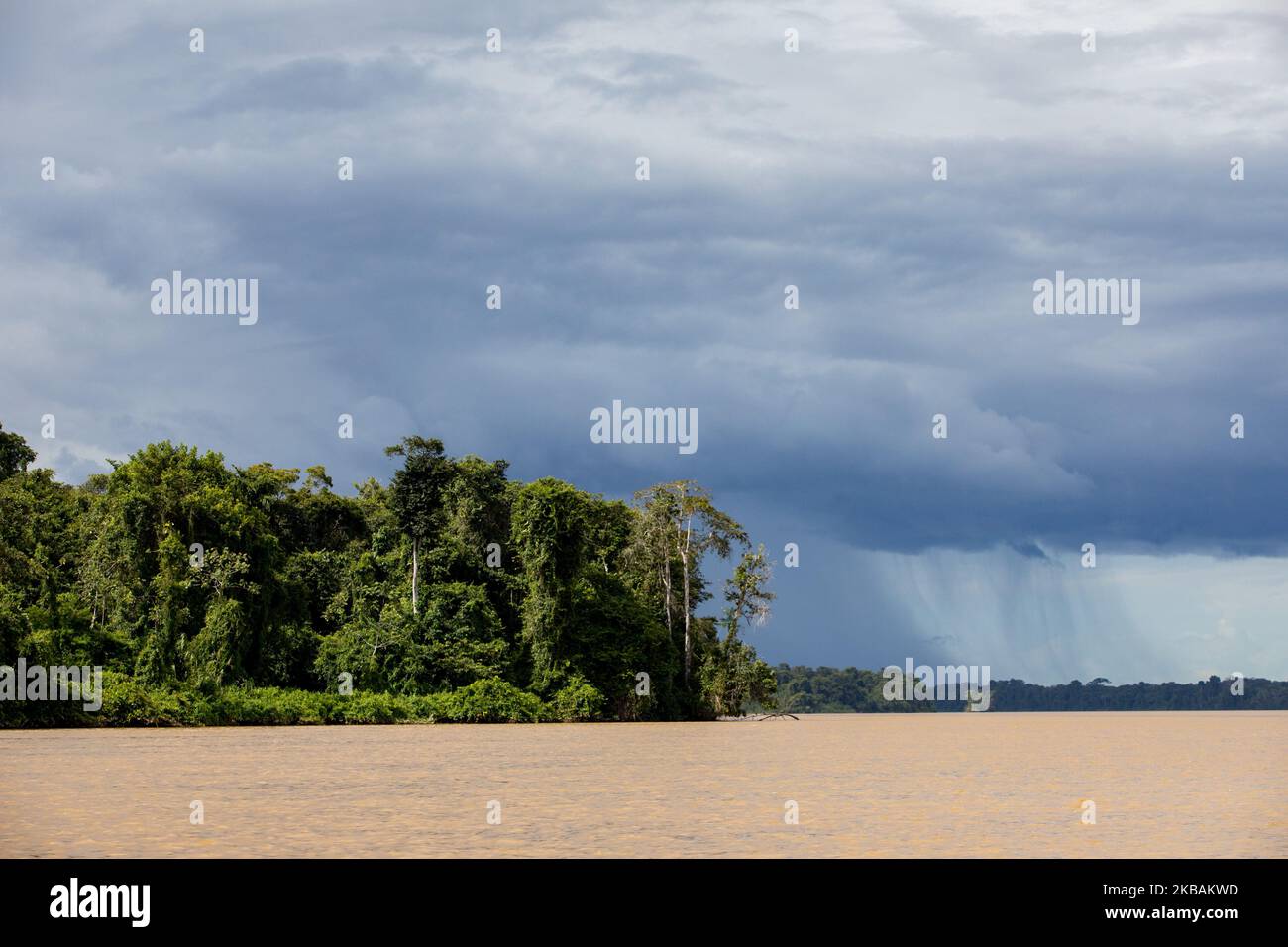 Saint-Laurent-du-Maroni, France, 3 juillet 2019. La végétation de la forêt amazonienne de la rivière Maroni, non loin de Saint-Laurent. (Photo par Emeric Fohlen/NurPhoto) Banque D'Images