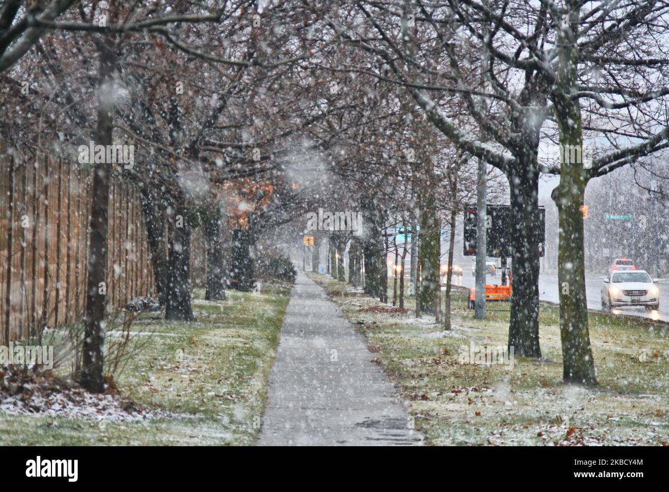 La neige humide couvrait la ville de Toronto, Ontario, Canada, sur 14 décembre 2019. La tempête a amené de la pluie et de la neige humide dans la grande région de Toronto, laissant entre 3-5 cm de neige au sol. (Photo de Creative Touch Imaging Ltd./NurPhoto) Banque D'Images