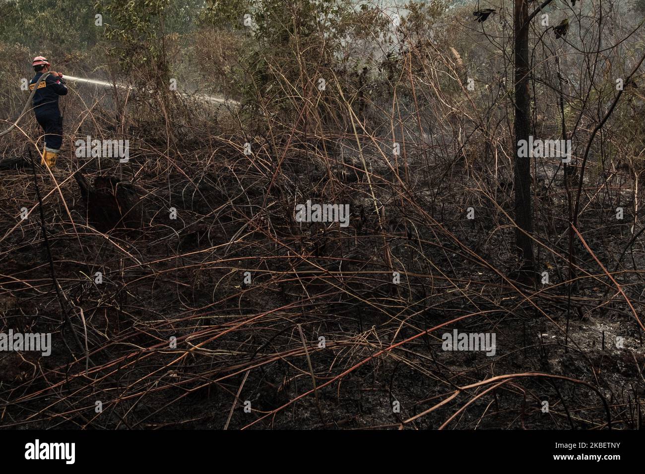 Manggala Agni, service des incendies de forêt Ministère indonésien de la foresterie et de l'environnement essayez d'éteindre le feu de terre tourbée dans le village d'Air Hitam à Riau, en Indonésie, sur 18 janvier 2020. (Photo par Afrianto Silahi/NurPhoto) Banque D'Images