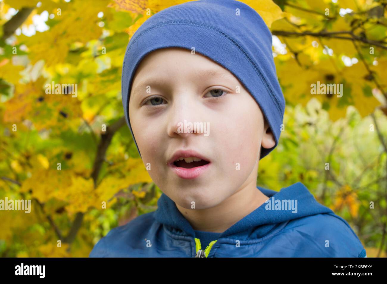 Portrait d'un garçon en automne sur fond de feuilles jaunes Banque D'Images