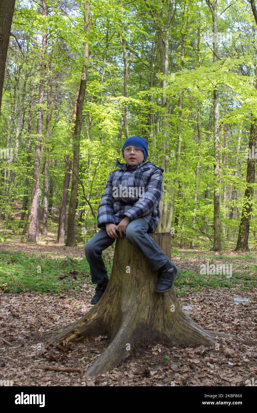 garçon dans des lunettes est assis sur une vieille souche dans la forêt Banque D'Images