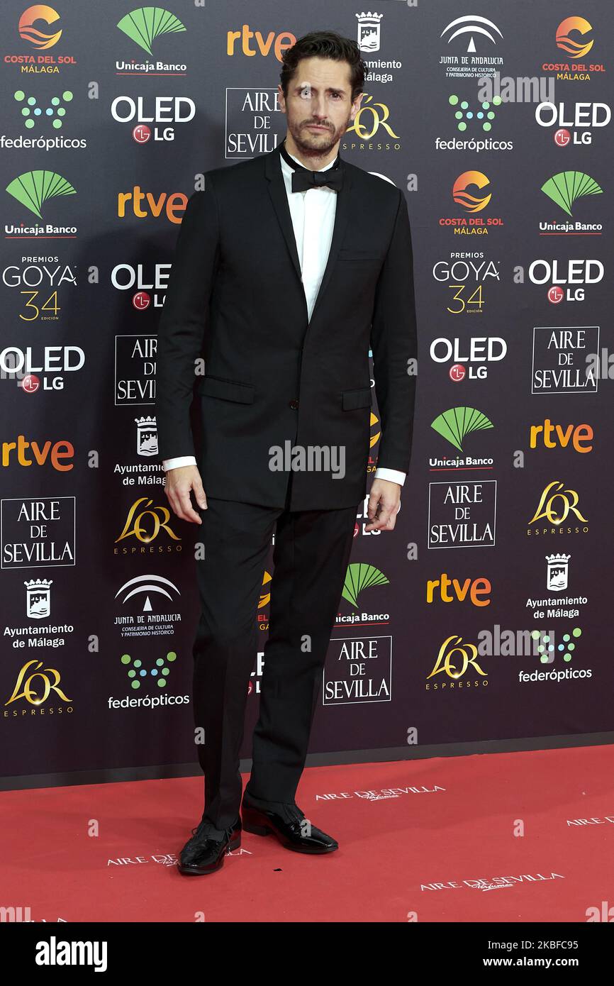 Juan Diego Botto assiste à la séance photo de tapis rouge 34th des « Goya » Cinema Awards 2020 au Jose Maria Martin Carpena Sports Palace de Malaga, Espagne, le 25 janvier 2020 (photo de Carlos Dafonte/NurPhoto) Banque D'Images