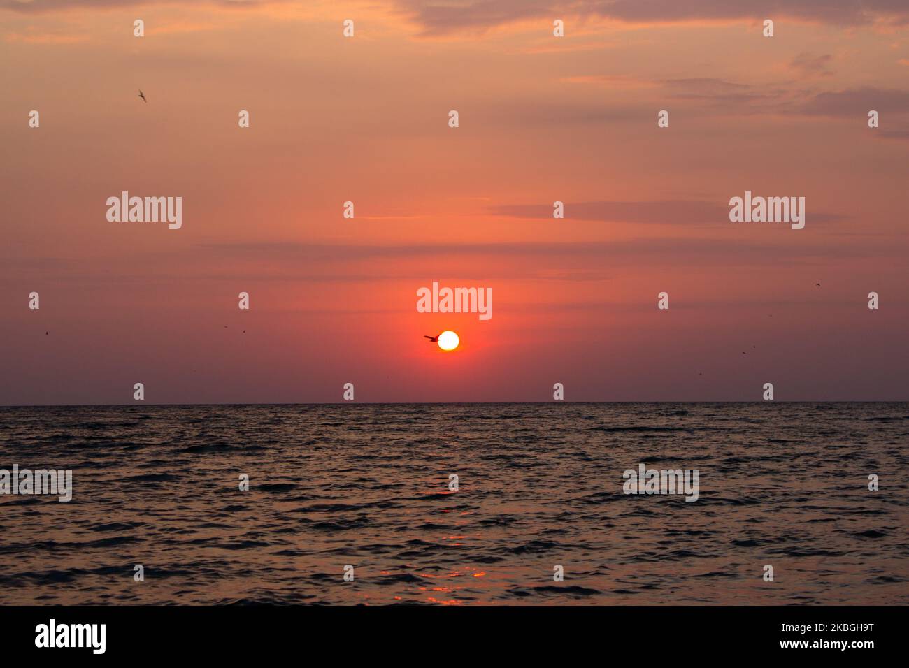 Les goélands volent au lever du soleil au-dessus de la mer. Plage d'été avec eau bleue et ciel violet au coucher du soleil. Banque D'Images