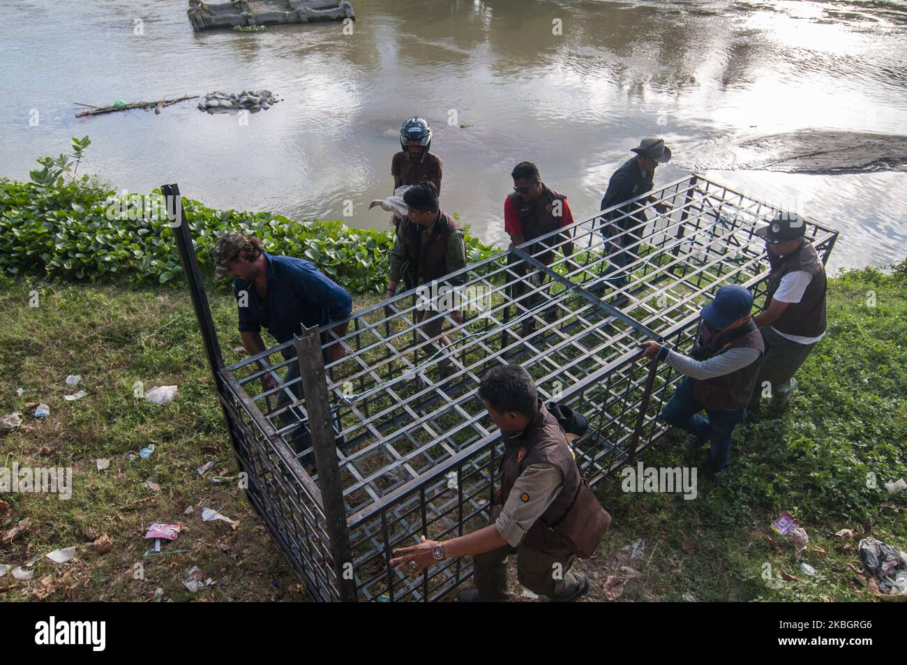 Les officiers lèvent des pièges pour capturer des crocodiles sauvages capturés dans des pneus anciens sur la rivière Palu, dans le centre de Sulawesi, en Indonésie, le 11 février 2020. Le Natural Resources conservation Centre (BKSDA) a reçu l'aide des observateurs de la faune australienne Matthew Nicolas Wright et Chris Wilson pour libérer des pneus le premier qui a ensnared le crocodile sauvage depuis quatre ans. Depuis septembre 2018, plusieurs organisations amoureux de la faune ont tenté de sauver le pauvre crocodile, mais à ce jour rien n'a fonctionné. Les pneus usagés qui ont ensnagé le cou du crocodile l'ont encore torturé à cause de son corps grandissant Banque D'Images Les officiers lèvent des pièges pour capturer des crocodiles sauvages capturés dans des pneus anciens sur la rivière Palu, dans le centre de Sulawesi, en Indonésie, le 11 février 2020. Le Natural Resources conservation Centre (BKSDA) a reçu l'aide des observateurs de la faune australienne Matthew Nicolas Wright et Chris Wilson pour libérer des pneus le premier qui a ensnared le crocodile sauvage depuis quatre ans. Depuis septembre 2018, plusieurs organisations amoureux de la faune ont tenté de sauver le pauvre crocodile, mais à ce jour rien n'a fonctionné. Les pneus usagés qui ont ensnagé le cou du crocodile l'ont encore torturé à cause de son corps grandissant Banque D'Images
