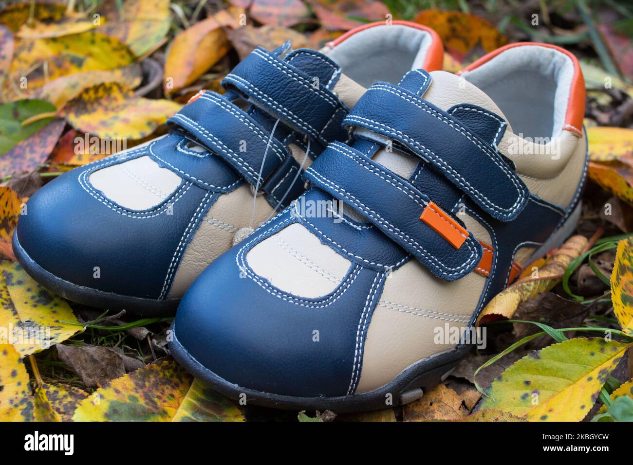 Sneakers en cuir d'automne classiques et tendance sur les feuilles de l'automne Banque D'Images