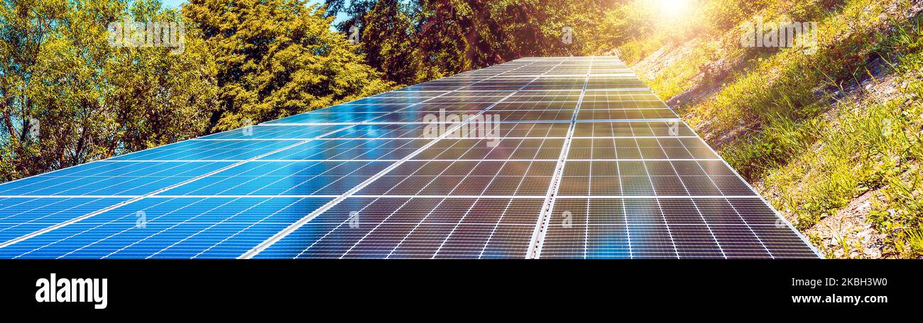 Rangées de panneaux solaires. Centrale solaire. Énergie propre et verte. Autre source d'électricité. Arbres en arrière-plan. Banque D'Images Rangées de panneaux solaires. Centrale solaire. Énergie propre et verte. Autre source d'électricité. Arbres en arrière-plan. Banque D'Images
