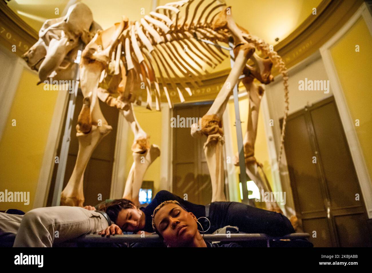 Un groupe de militants XR exécutent une Die in action autour d'un gros squelette d'éléphant, à l'intérieur du Musée d'Histoire naturelle, à Rotterdam, sur 2 mars 2020. (Photo par Romy Arroyo Fernandez/NurPhoto) Banque D'Images