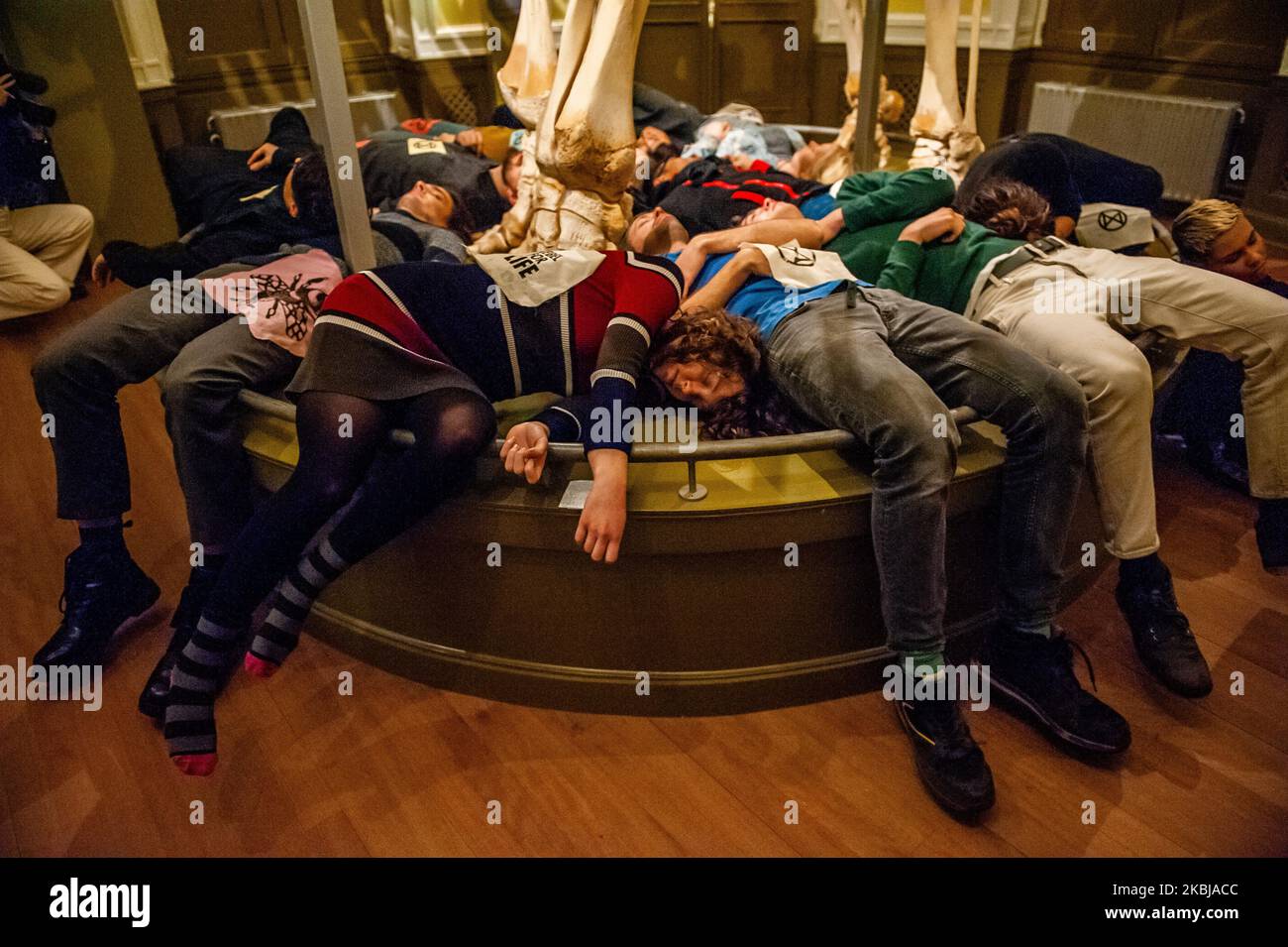 Un groupe de militants XR exécutent une Die in action autour d'un gros squelette d'éléphant, à l'intérieur du Musée d'Histoire naturelle, à Rotterdam, sur 2 mars 2020. (Photo par Romy Arroyo Fernandez/NurPhoto) Banque D'Images