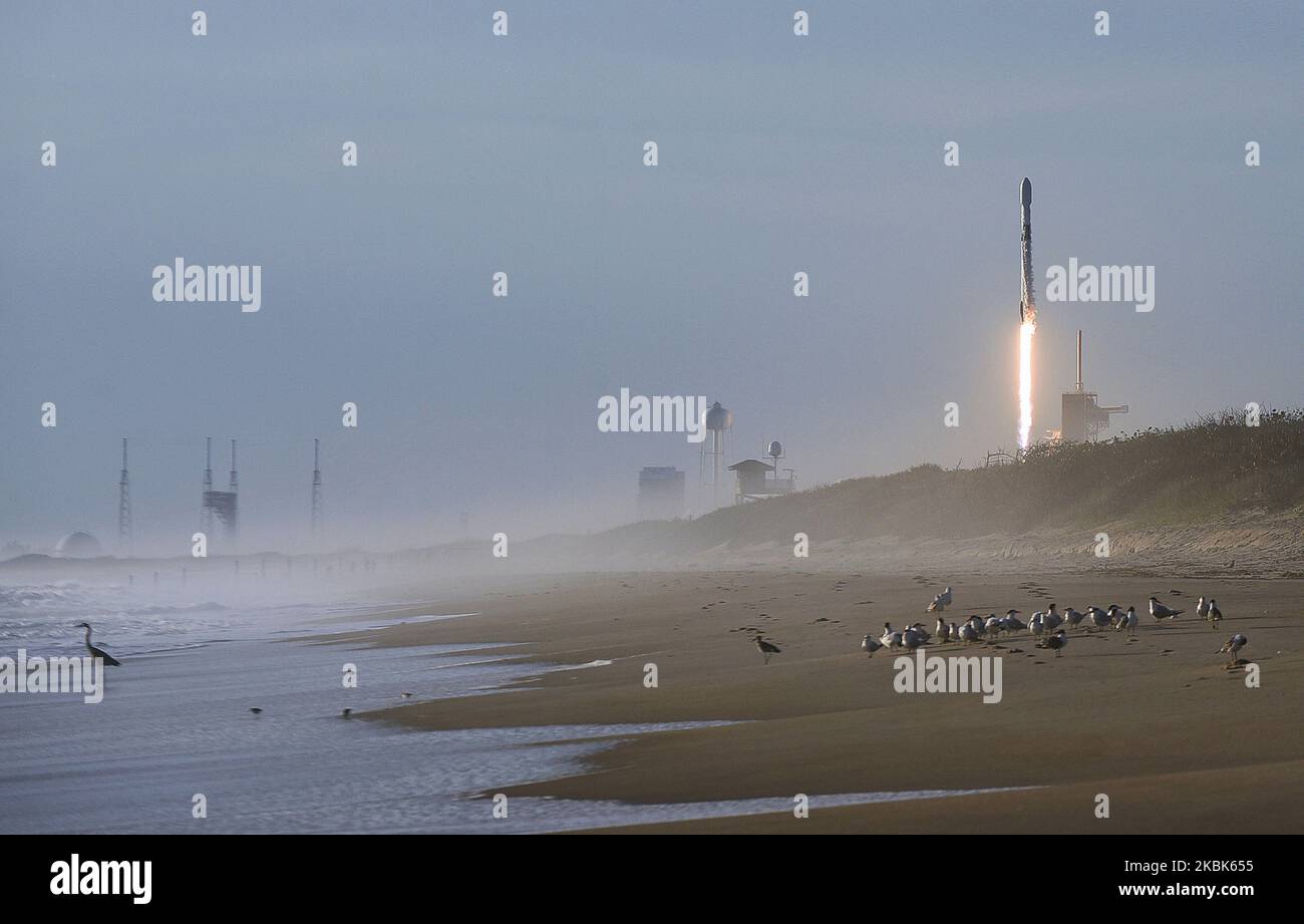Une fusée SpaceX Falcon 9 transportant 60 satellites Starlink forme un cône de vapeur après le lancement du PAD 39A au Kennedy Space Center en Floride, vu de la plage Playalinda à Canaveral National Seashore près de Titusville, Floride sur 18 mars 2020. Il s'agit de la sixième mission Starlink conçue pour fournir un service Internet haut débit mondial. (Photo de Paul Hennessy/NurPhoto) Banque D'Images