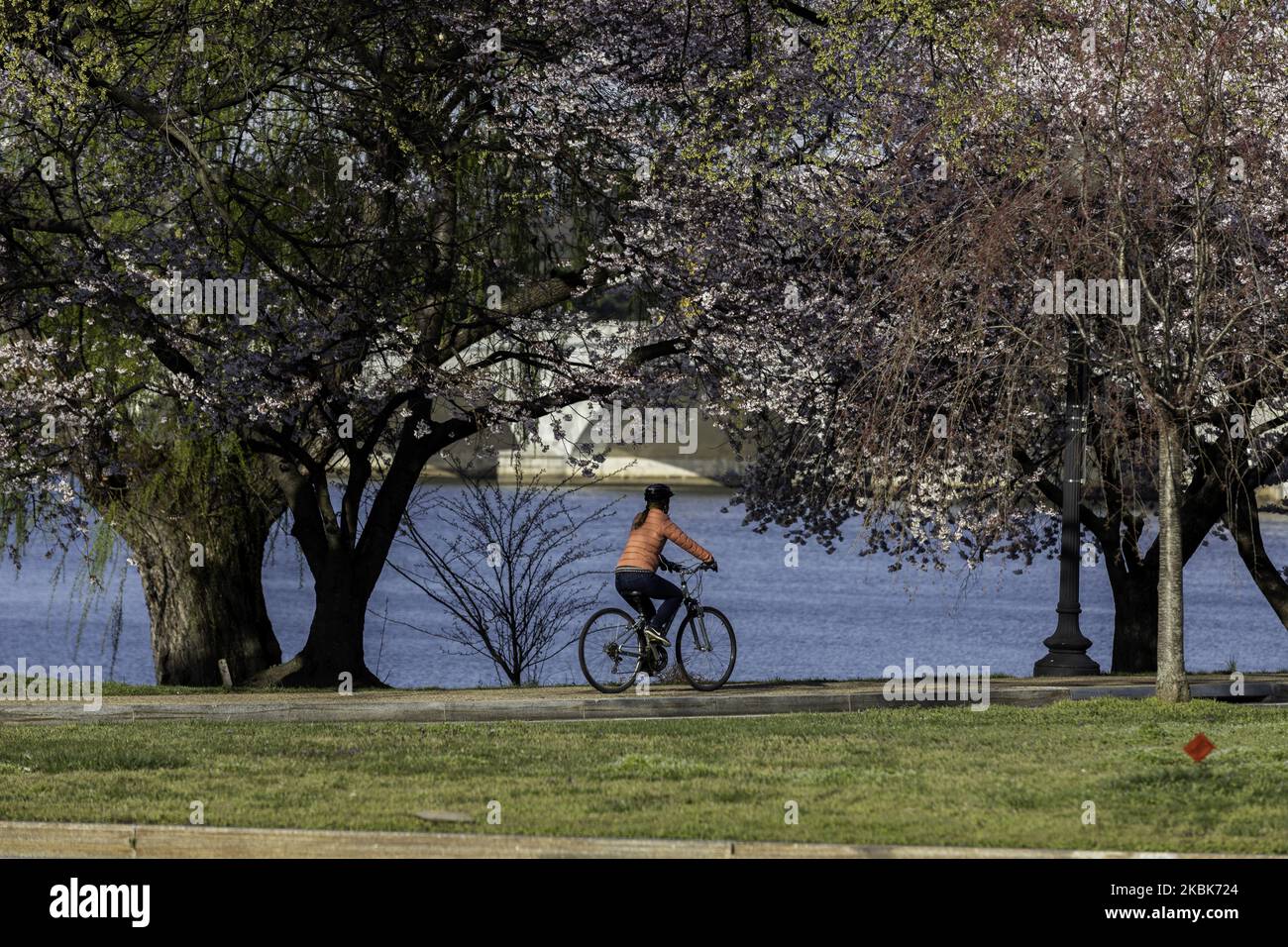 Un cycliste est vu autour du Mémorial de Lincoln dans l'état d'urgence dû à la maladie du coronavirus (COVID-19) à Washington, D.C., mercredi, 18 mars 2020. (Photo par Aurora Samperio/NurPhoto) Banque D'Images