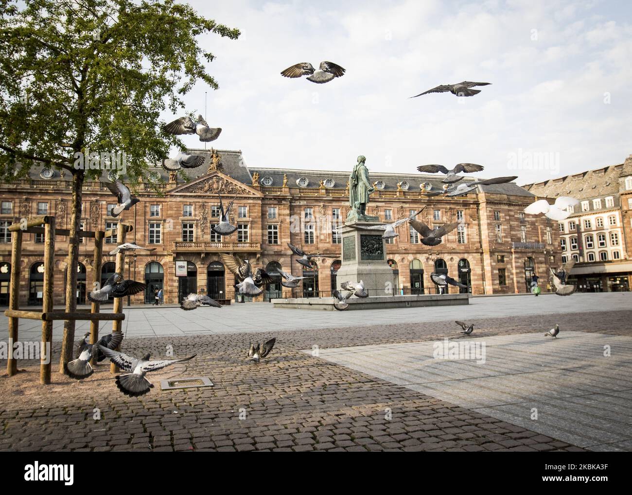 Place Kleber Strasbourg, est de la France, sur 20 mars 2020, le quatrième jour d'un verrouillage strict en France pour arrêter la propagation du COVID-19, causé par le nouveau coronavirus. (Photo par Elyxandro Cegarra/NurPhoto) Banque D'Images