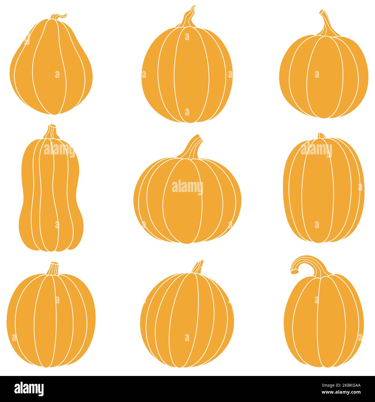 Collection de citrouilles à timbre d'orange pour Halloween, Thanksgiving, Harvest Festival. Ensemble de citrouilles mignons de différentes formes et tailles. Illustrations de dessins animés pour la décoration des fêtes. Clipart pour carte, affiche Illustration de Vecteur
