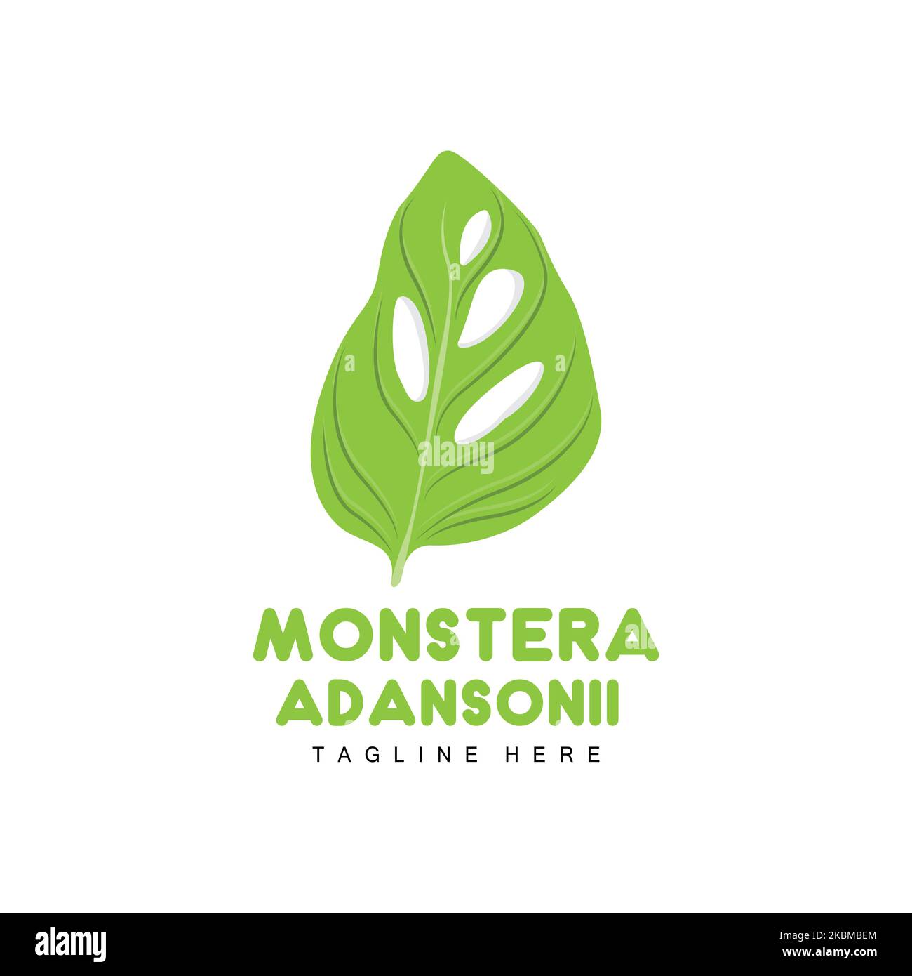 Monstera adansonii logo feuille, vecteur plante verte, vecteur arbre, illustration feuille rare Illustration de Vecteur