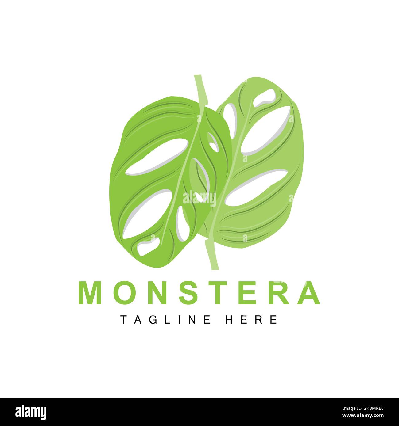 Monstera adansonii logo feuille, vecteur plante verte, vecteur arbre, illustration feuille rare Illustration de Vecteur