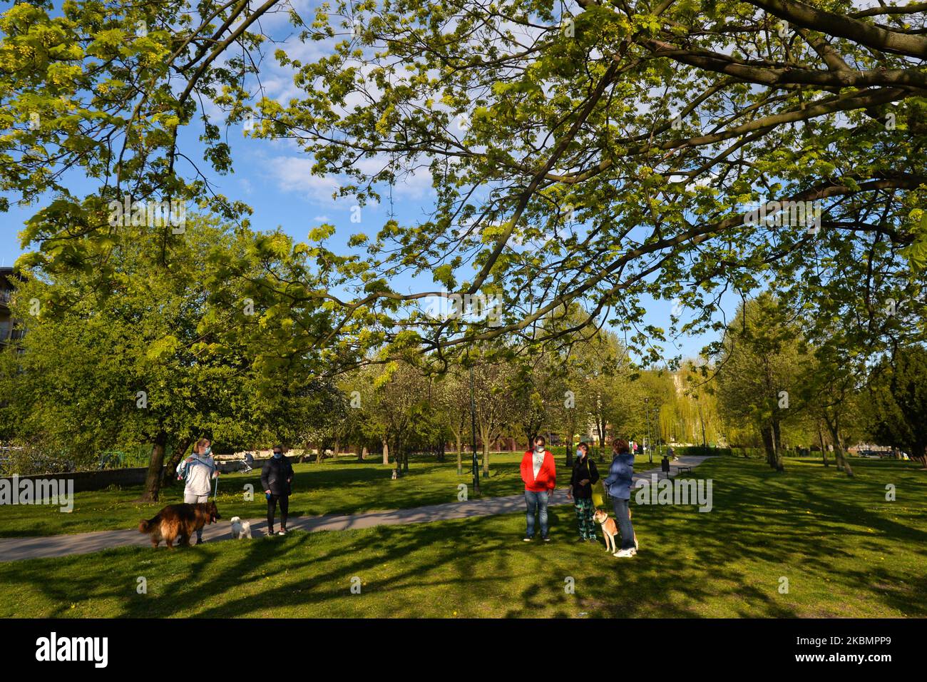 Les propriétaires de chiens ont vu manger dans un parc de Cracovie, car les Polonais peuvent maintenant profiter à nouveau des espaces verts. Depuis le 20th avril, l'interdiction de se déplacer, de voyager et de séjourner dans les lieux publics a été levée avec la réouverture des parcs publics, des forêts et des plages. La couverture de la bouche et du nez en public reste obligatoire. Mais le nombre d'infectés par le virus continue de croître et le ministère de la Santé a signalé aujourd'hui 313 nouveaux cas et 25 décès, ce qui porte le nombre total à 10 169 personnes infectées, 426 décès et 1 513 cas de rétablissement. Mercredi, 22 avril 2020, à Cracovie, en Pologne. (Photo par Artur Widak/NurPhoto) Banque D'Images