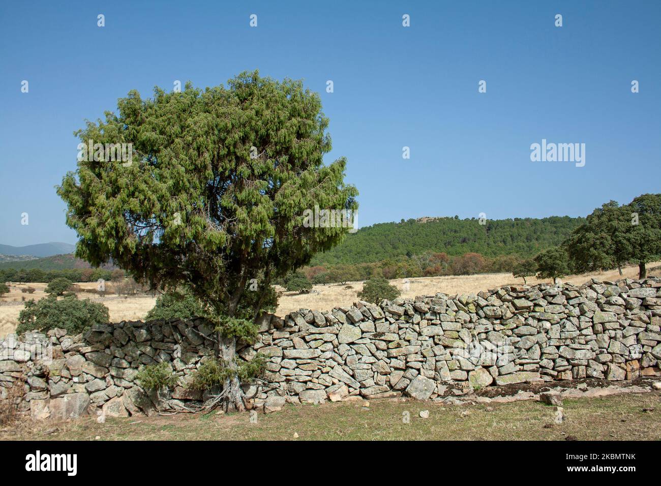 Murs en pierre sèche en Espagne, utilisés pour séparer les fermes depuis des temps immémoriaux, classés au patrimoine mondial Banque D'Images