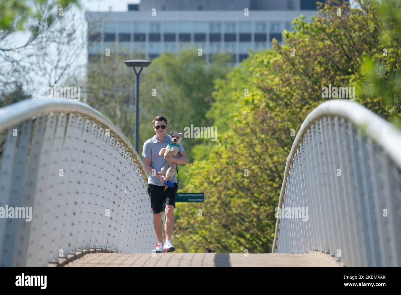 Un homme emmène son petit chien pour une promenade sur un pont à Peel Park, Salford, Greater Manchester, le samedi 25th avril 2020. (Photo de Pat Scaasi/MI News/NurPhoto) Banque D'Images