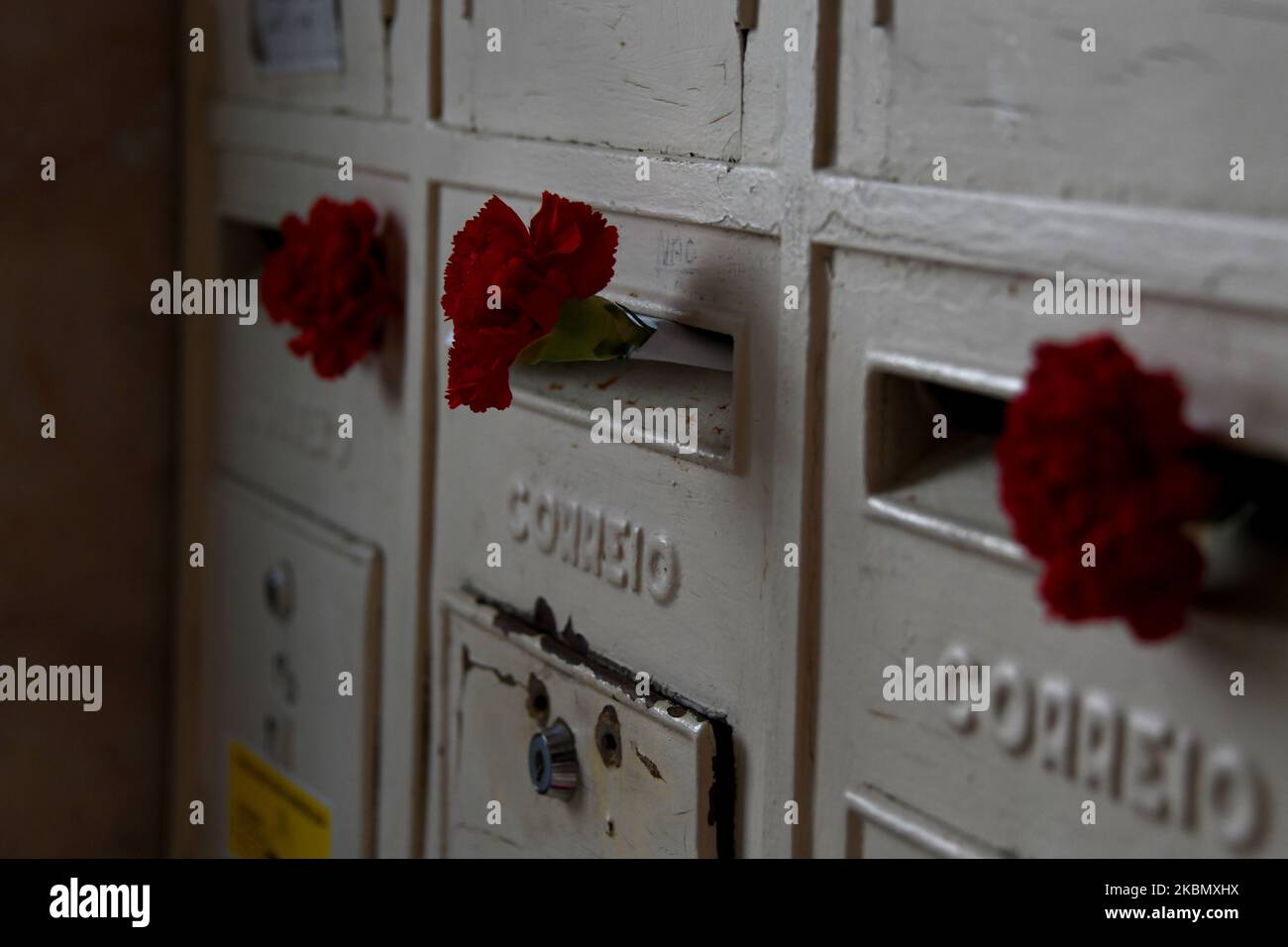 Les œillets sont laissés dans les boîtes aux lettres pour commémorer la fin de la dictature, à Lisbonne, le 25 avril 2020. Le pays étant toujours en état d'urgence en raison de la COVID-19 et soumis à un devoir général de mémoire, l'anniversaire de 25 avril 46th sera célébré principalement dans chaque foyer portugais. Les organisations chargées de célébrer la date de la fin de la dictature ont demandé aux citoyens de célébrer ce jour de chez eux. Les conseils communautaires ont mis en place des œillets de départ dans les boîtes aux lettres des maisons et des bâtiments pour motiver les gens à ne pas oublier cette date historique. (Photo par Jorge Mantilla/N. Banque D'Images