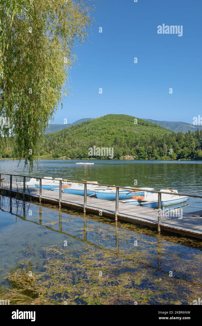 Lac Montiggler Voir à proximité d'Eppan ou d'Appiano, Tyrol du Sud, Italie Banque D'Images