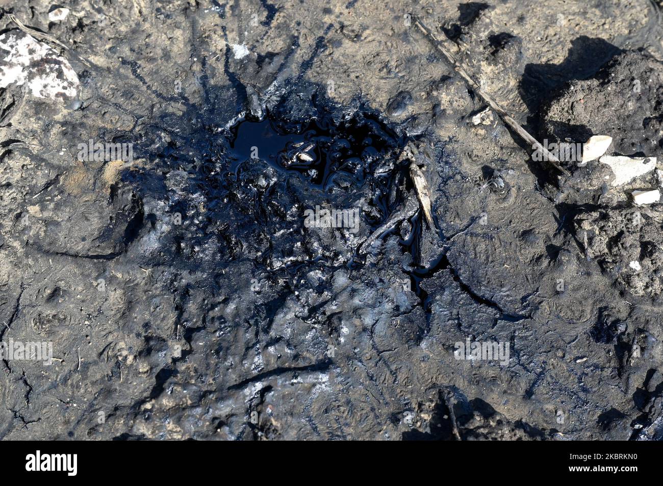 ALBANIE, Kuçova, nommé ville de Staline de 1950 to1991, champ de pétrole brut et pompe de forage de l'ère communiste, toujours en fonctionnement et polluant l'environnement, puddle de pétrole / ALBANIEN, Kucova, von 1950 bis 1991 Qyteti Staline, Stalinstadt, Erdoelfoerderung, alte Oelfoerderpumpe, die heute noch, Özür Betrieb, Ölzur Betriderung, Ölache Betriffung Banque D'Images