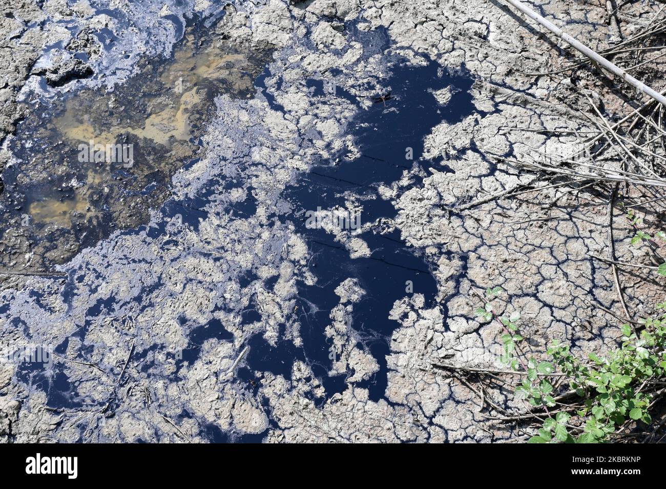 ALBANIE, Kuçova, nommé ville de Staline de 1950 to1991, champ de pétrole brut et pompe de forage de l'ère communiste, toujours en fonctionnement et polluant l'environnement, puddle de pétrole / ALBANIEN, Kucova, von 1950 bis 1991 Qyteti Staline, Stalinstadt, Erdoelfoerderung, alte Oelfoerderpumpe, die heute noch, Özür Betrieb, Ölzur Betriderung, Ölache Betriffung Banque D'Images