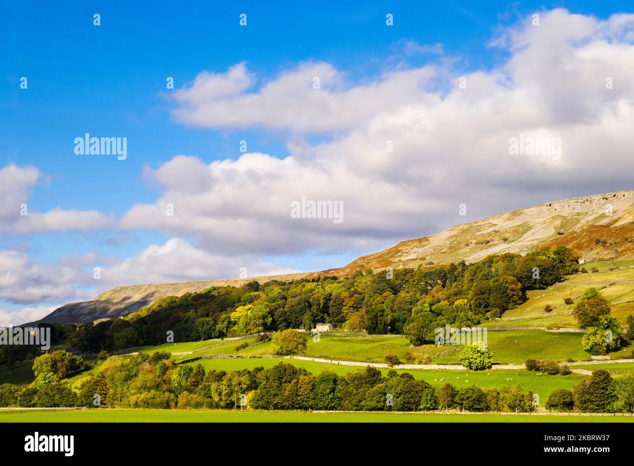 Campagne anglaise au-dessous d'un escarpement dans le parc national de Yorkshire Dales. Reeth, Richmond, Swaledale, Yorkshire du Nord, Angleterre, Royaume-Uni, Grande-Bretagne Banque D'Images