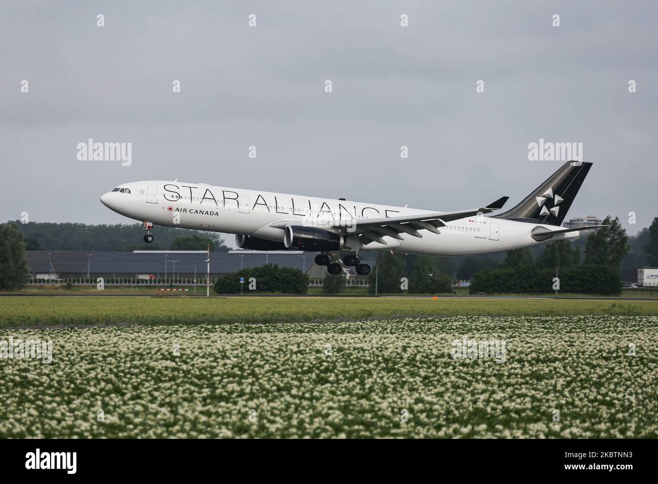 Airbus A330 d'Air Canada avec l'apparence spéciale de l'équipe d'aviation  de Star Alliance comme vu arriver sur l'approche finale vol, atterrissage  et toucher sur la piste à l'aéroport international EHAM Amsterdam Schiphol