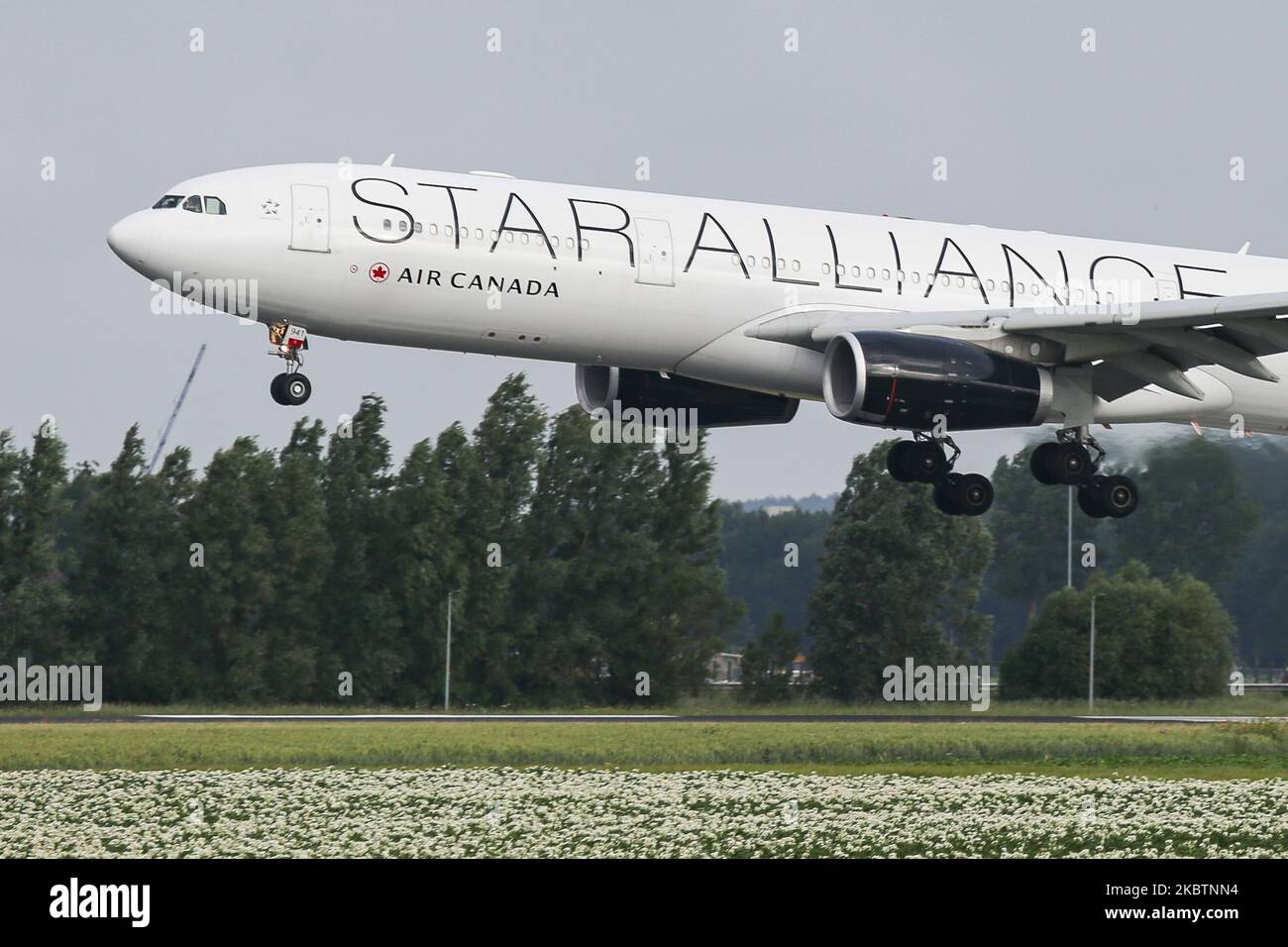 Airbus A330 d'Air Canada avec l'apparence spéciale de l'équipe d'aviation de Star Alliance comme vu arriver sur l'approche finale vol, atterrissage et toucher sur la piste à l'aéroport international EHAM Amsterdam Schiphol AMS aux pays-Bas, sur 2 juillet 2020. L'avion à corps large qui vole transatlantique est un Airbus A330-300 avec l'enregistrement C-GEGI, avec 2x moteurs RR Rolls Royce. L'avion est converti et vole comme fret de fret du Canada vers l'Europe et de retour avec une configuration de 6 sièges d'équipage, en raison de la pandémie du coronavirus Covid-19. (Photo de Nicolas Banque D'Images