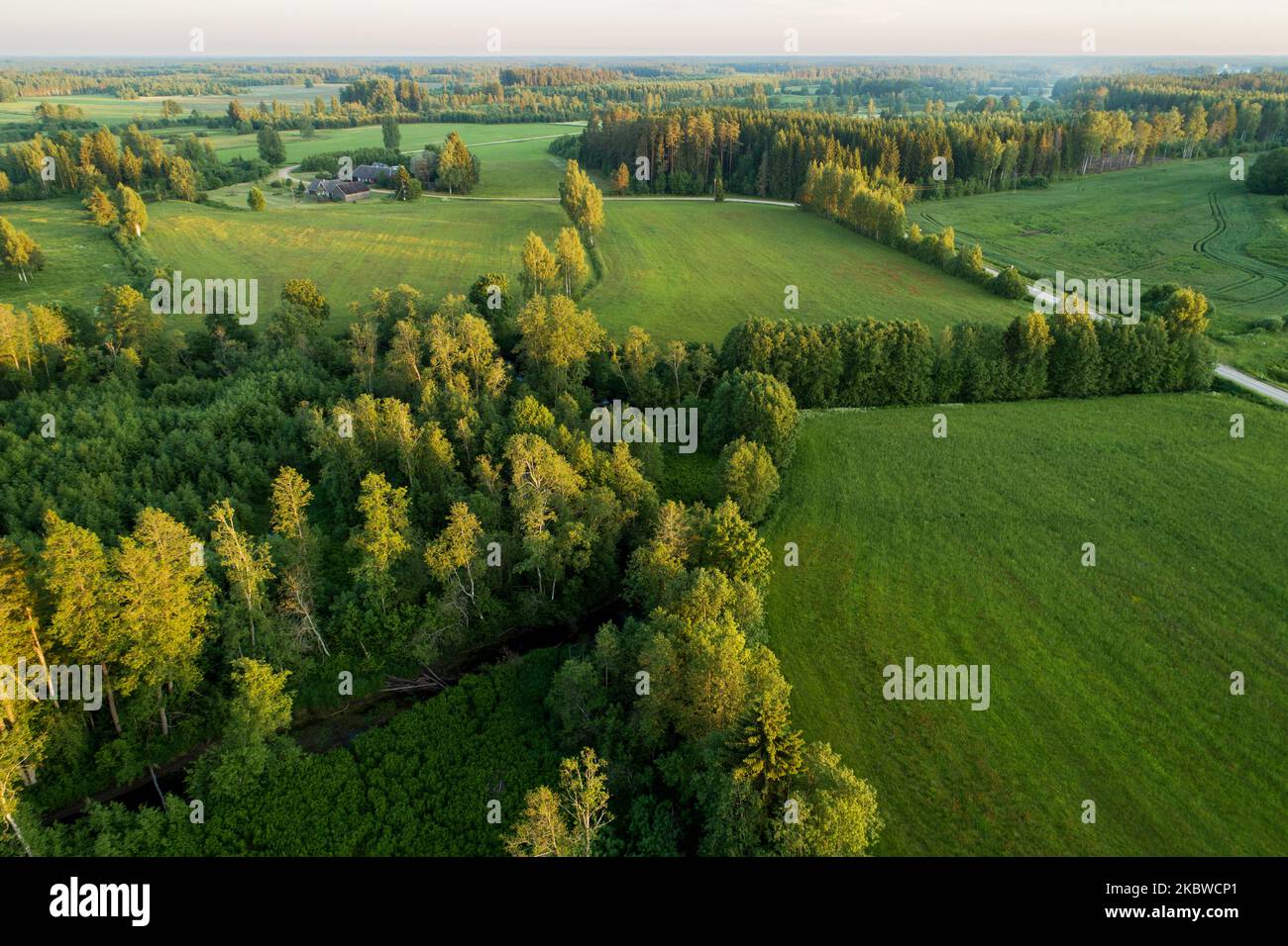 Une vue aérienne sur le paysage rural en mosaïque avec des champs et des forêts en Estonie, en Europe du Nord. Banque D'Images