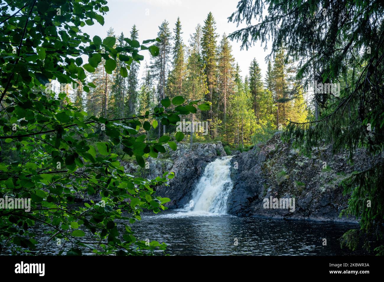 Magnifique cascade de Komulanköngäs en été. Tourné près de Hyrynsalmi, dans le nord de la Finlande. Banque D'Images