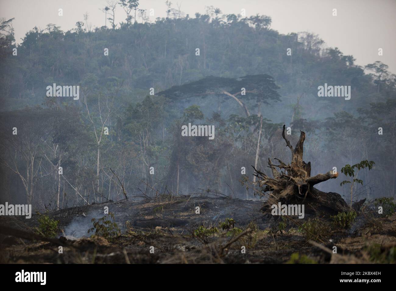 Fumée brûlée dans la forêt amazonienne de 13 août 2020. Le gouvernement brésilien a interdit les incendies dans tout le pays. Malgré le veto, des foyers d'incendie se produisent dans la région de Novo Progresso, dans l'État sud de Pará, au Brésil. (Photo d'Ernesto Carriço/NurPhoto) Banque D'Images