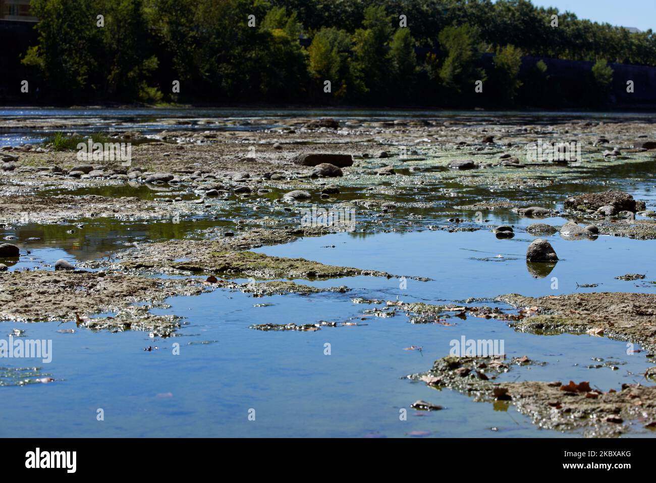 La Garonne est proche de son niveau record en raison d'un manque de pluie depuis le début de 2020 et d'une chaleur brûtante pendant plusieurs périodes de chaleur de pointe. En conséquence, la Garonne est eutrophisée. En raison du niveau d'eau bas, des déchets apparaissent sur le lit de la rivière. Le Service météorologique national (Meteofrance) a annoncé que juillet a été le mois le plus sec jamais enregistré en France depuis 1959 et que le premier semestre de 2020 a été le plus chaud depuis le début des records. Sur 18 août 2020 à Toulouse, France. (Photo d'Alain Pitton/NurPhoto) Banque D'Images